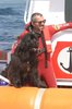 ITALIAN WATER RESCUE DOGS 01