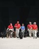 ITALIAN WATER RESCUE DOGS 02