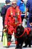 ITALIAN WATER RESCUE DOGS 12