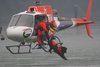 ITALIAN WATER RESCUE DOGS 16